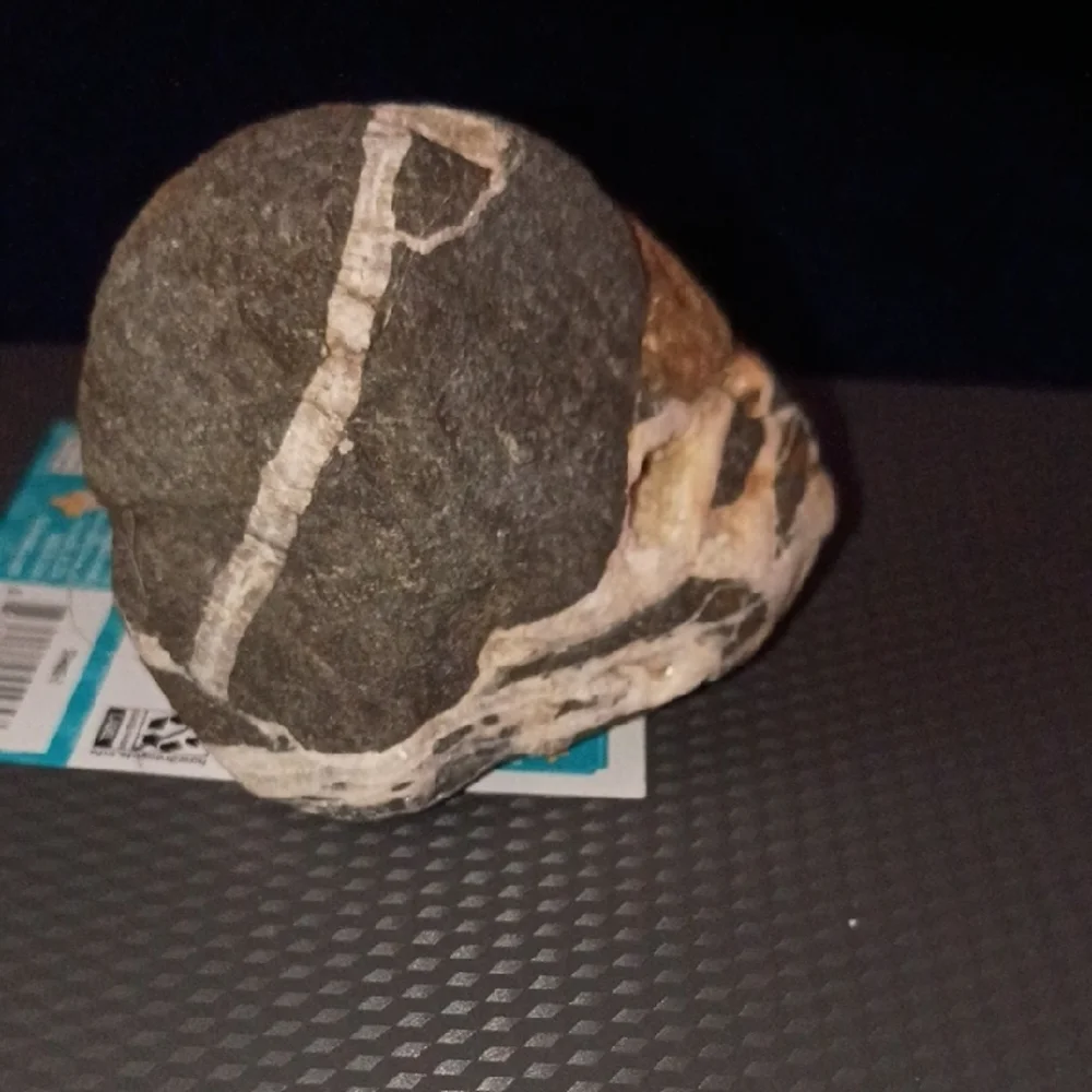 Natural Rock Decor for Reptile Habitats